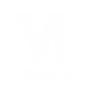 Vi 3v3 Arena logo Vi 3v3 Arena logo